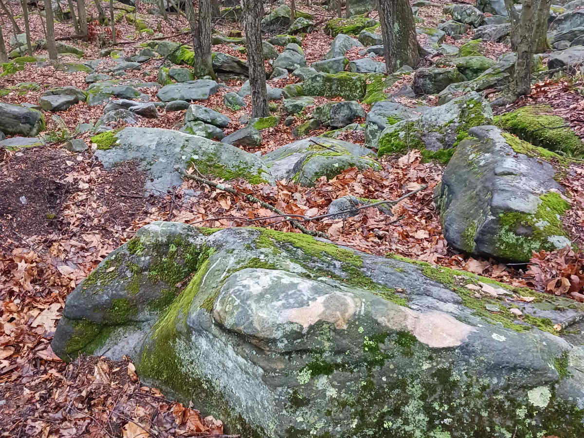 OHV 41 - Rock Run Recreation Area photo 4
