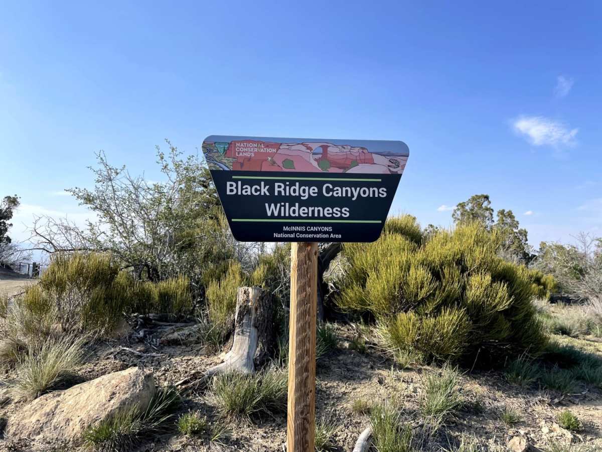 Rattle Snake Canyon trail photo