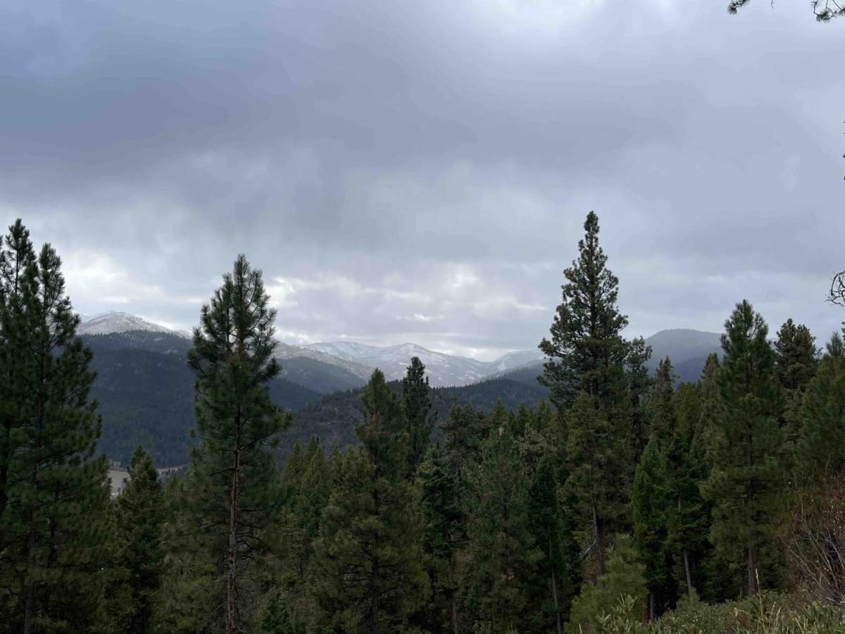 Lloyd Scenic Loop photo 4