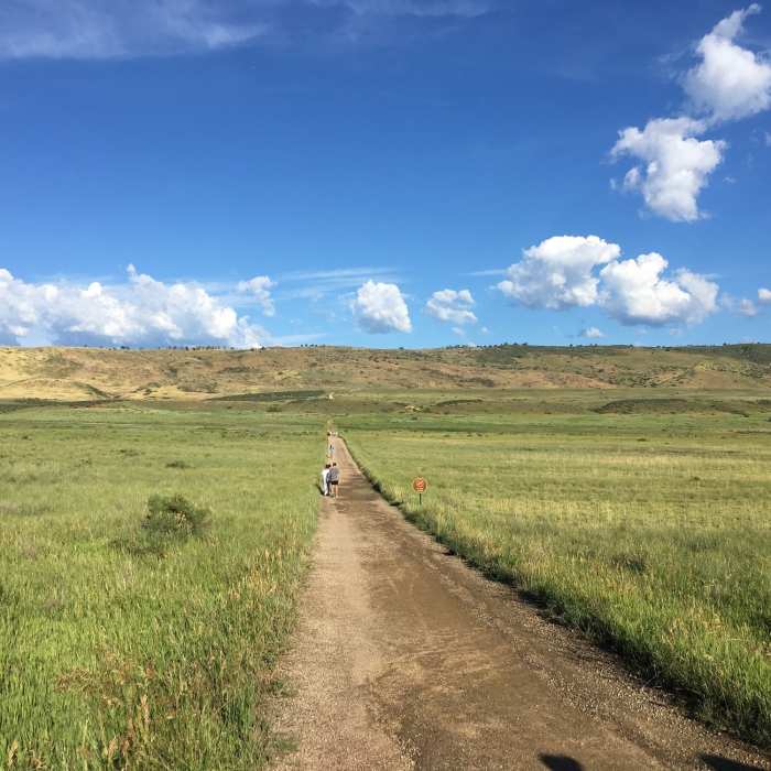 Near Coyote Ridge Trail