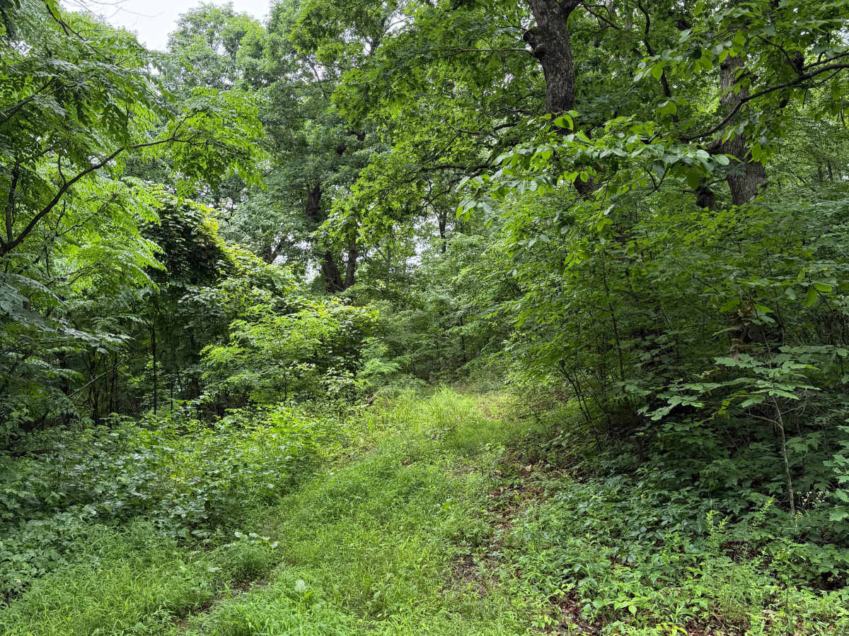 Lonny's Ground trail photo