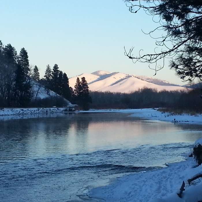 Near Maclay Flats Trail 14.01