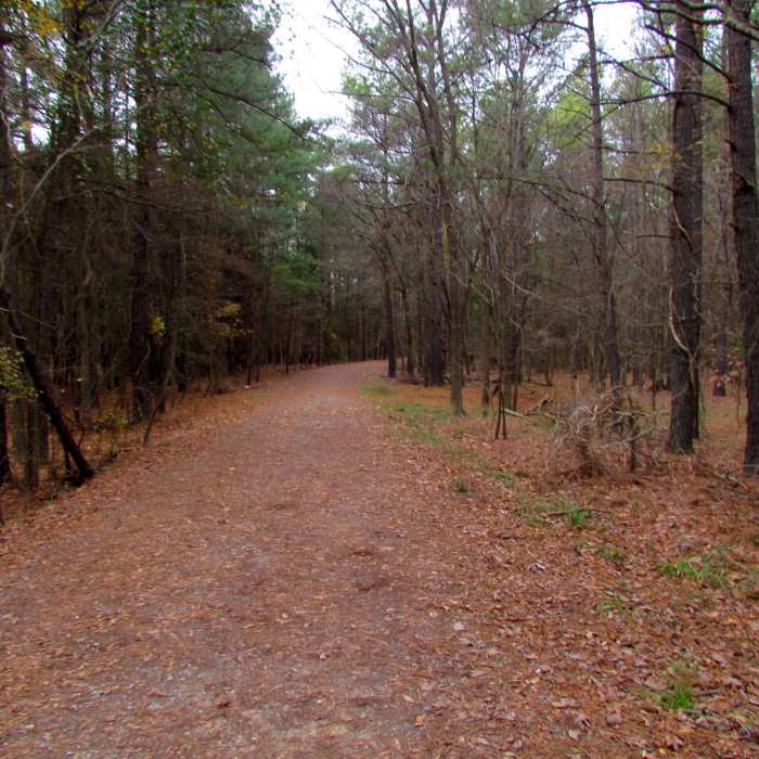 Near Neverland's Inner Loop