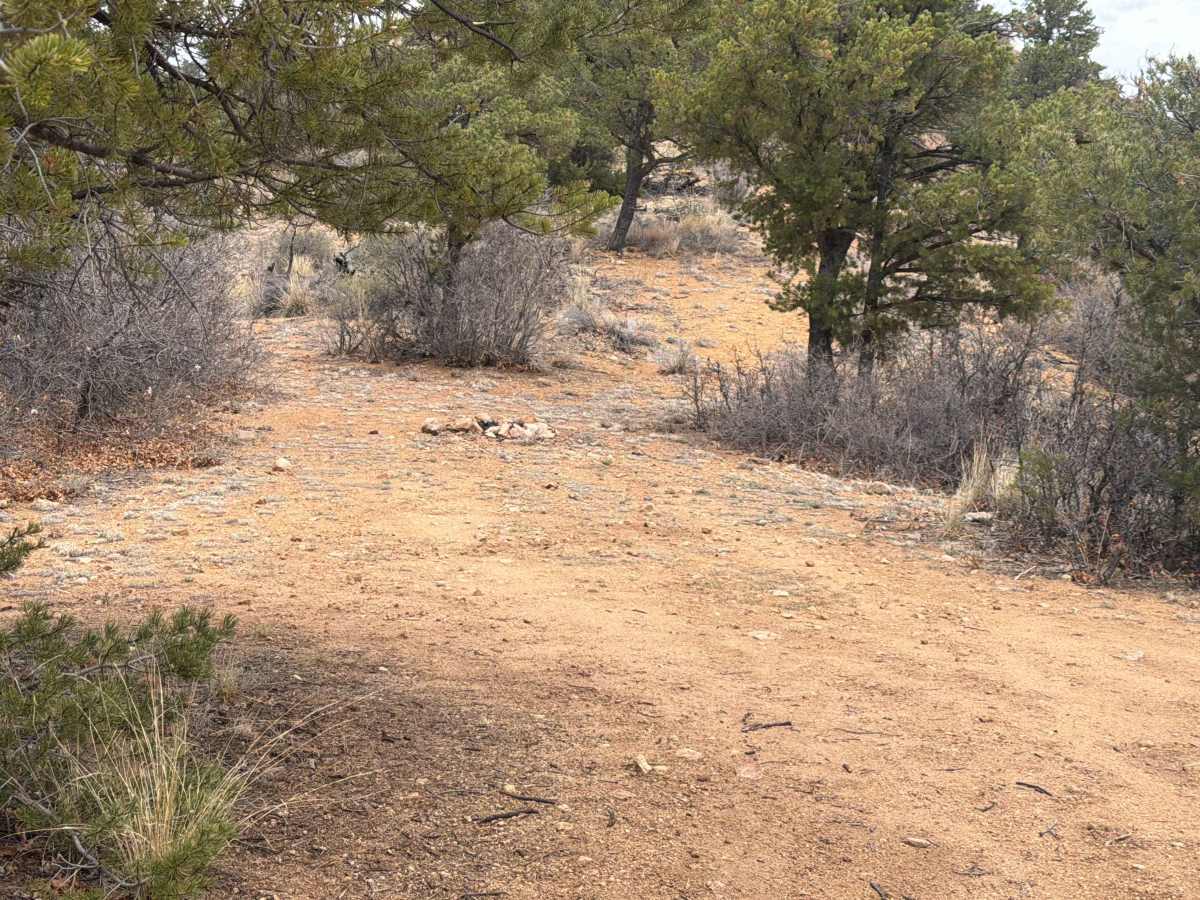 BLM 6195 photo 4