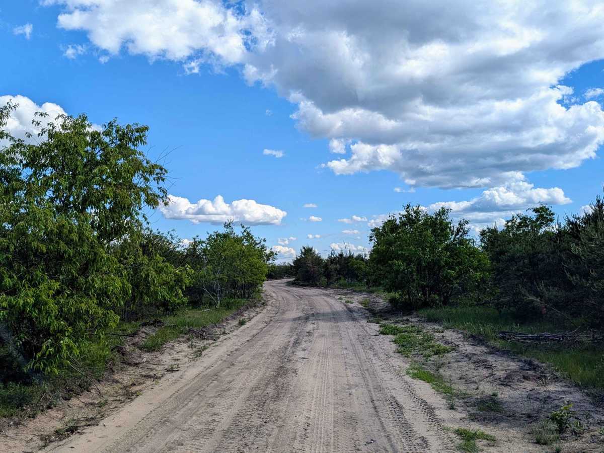 Pheasant Trail photo 4
