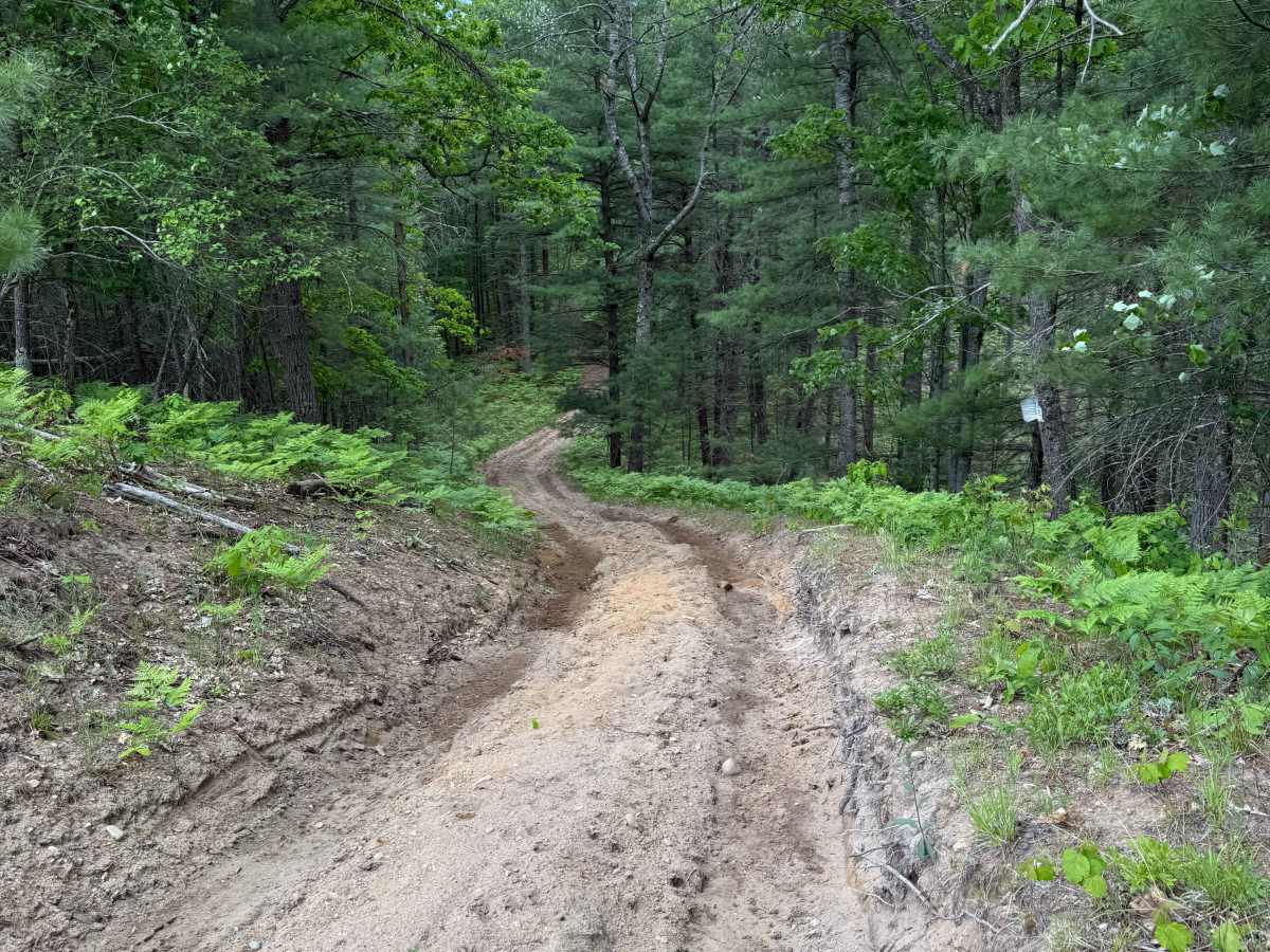SFR 442142 Trail trail photo