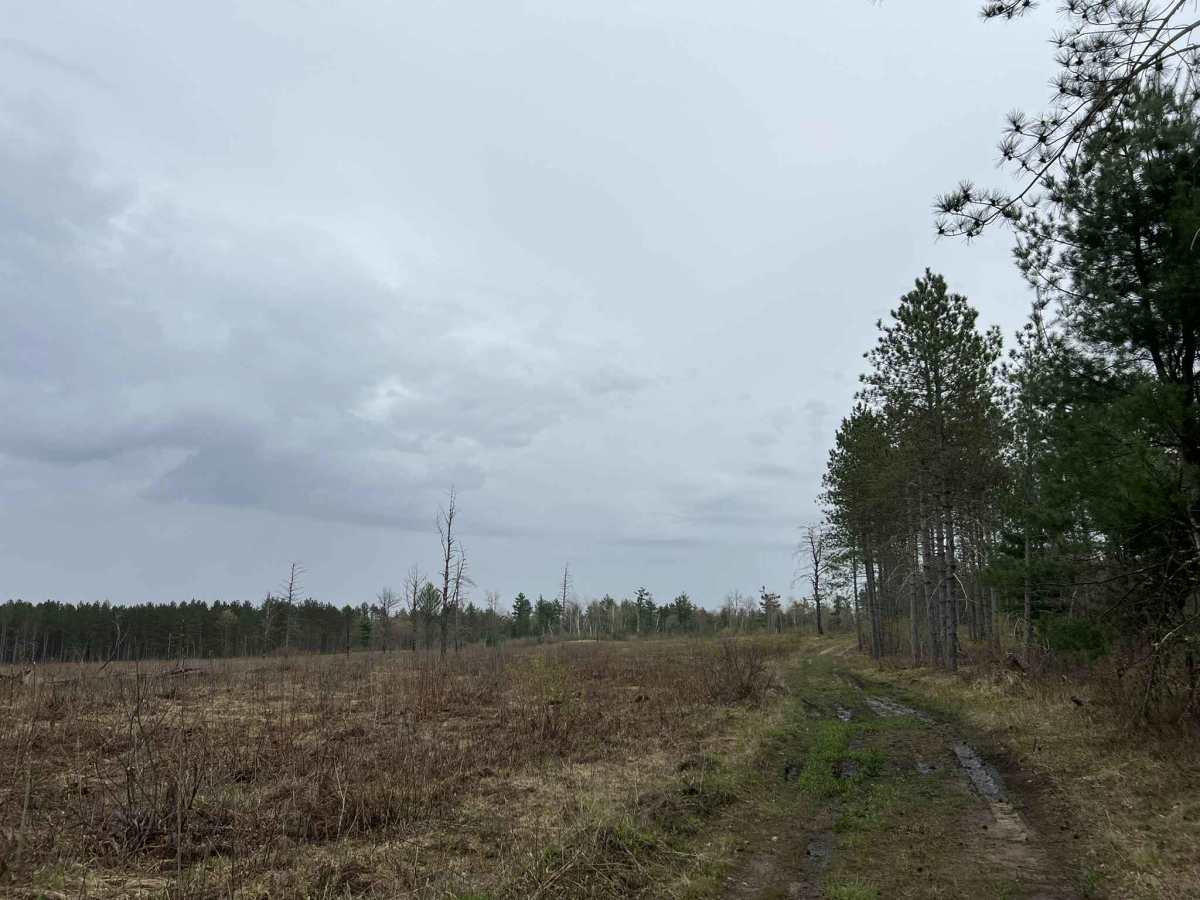 FS 2107L photo 5