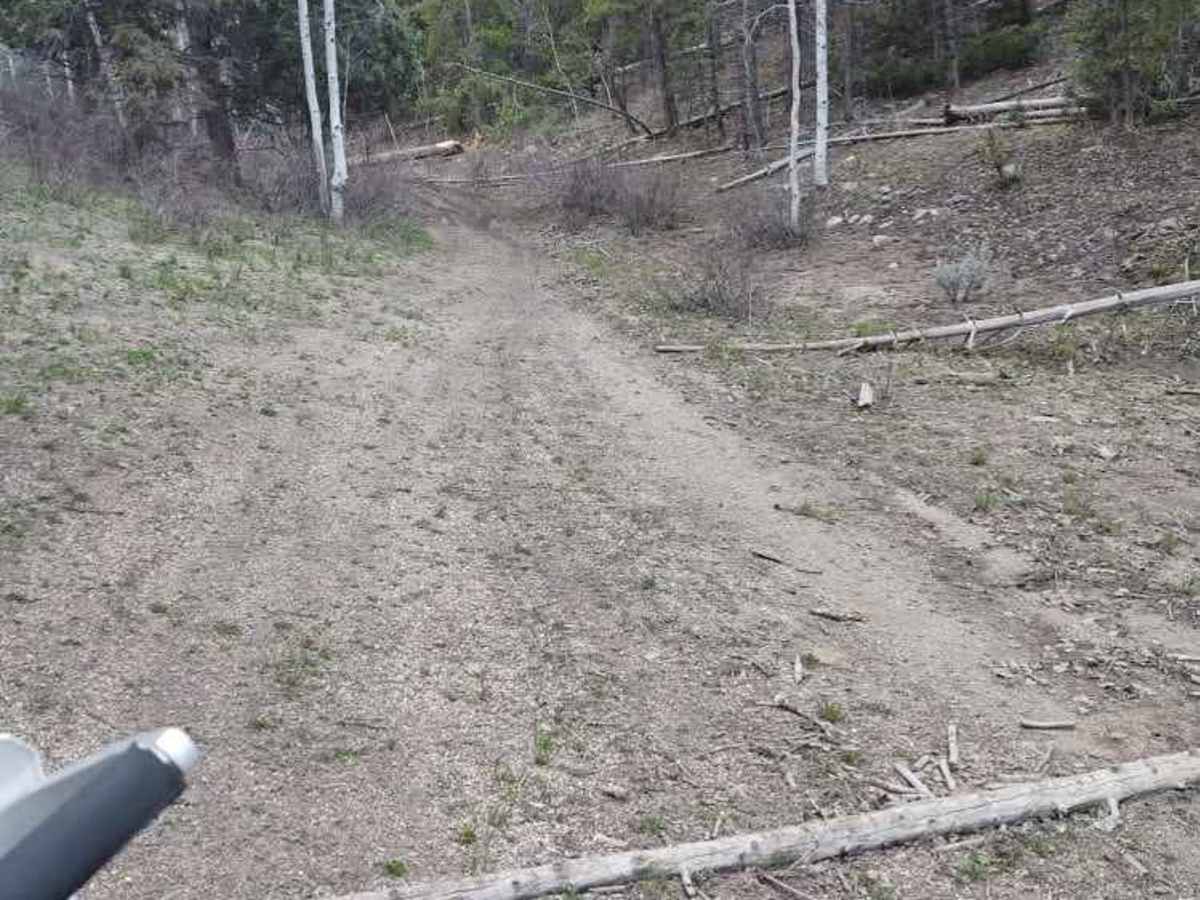 Wickiup photo 4