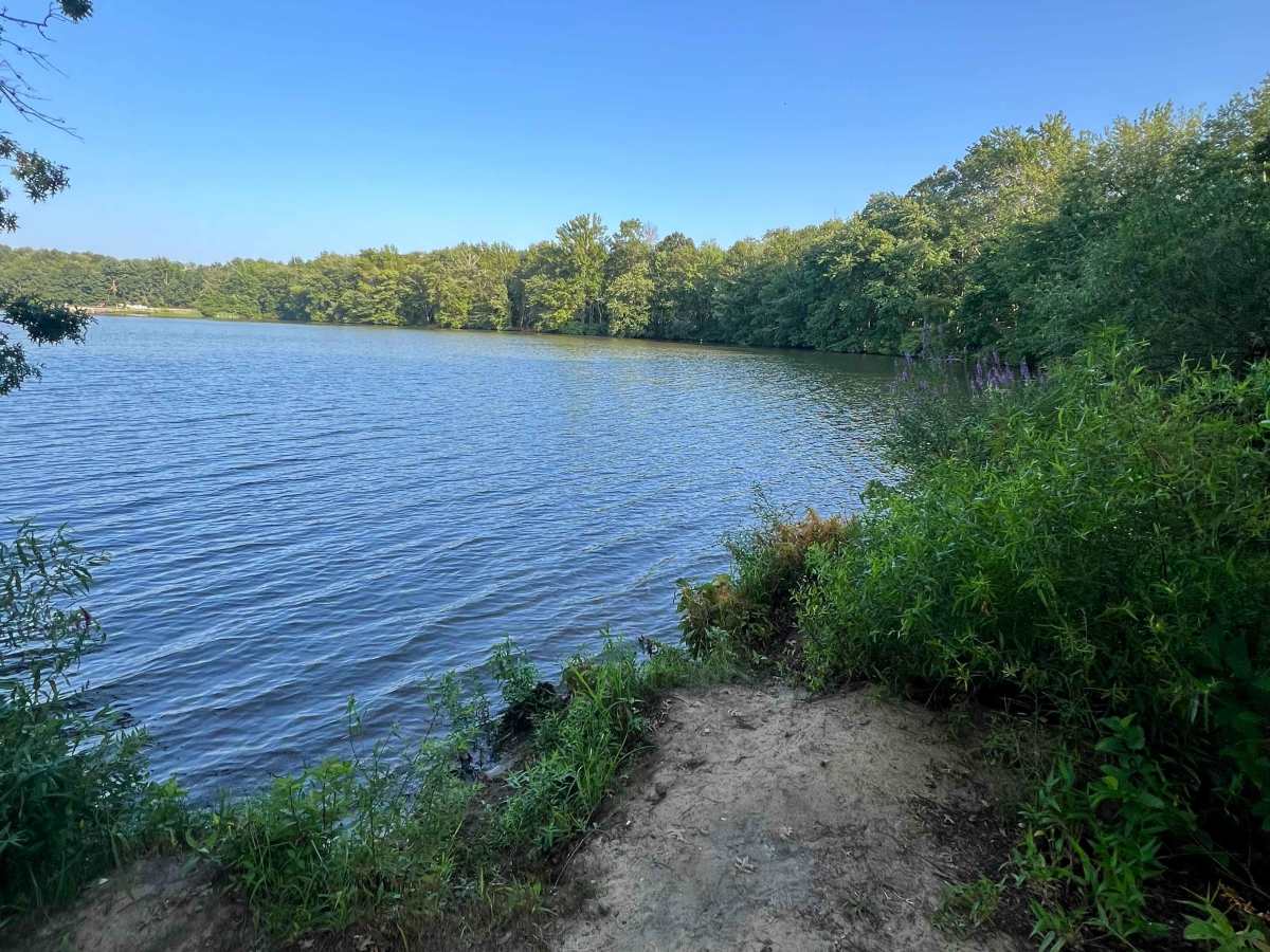 UTT Connector Trail photo 2