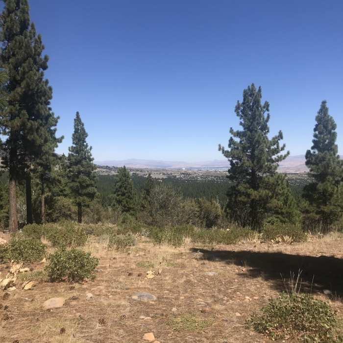 Near Browns Creek Trail
