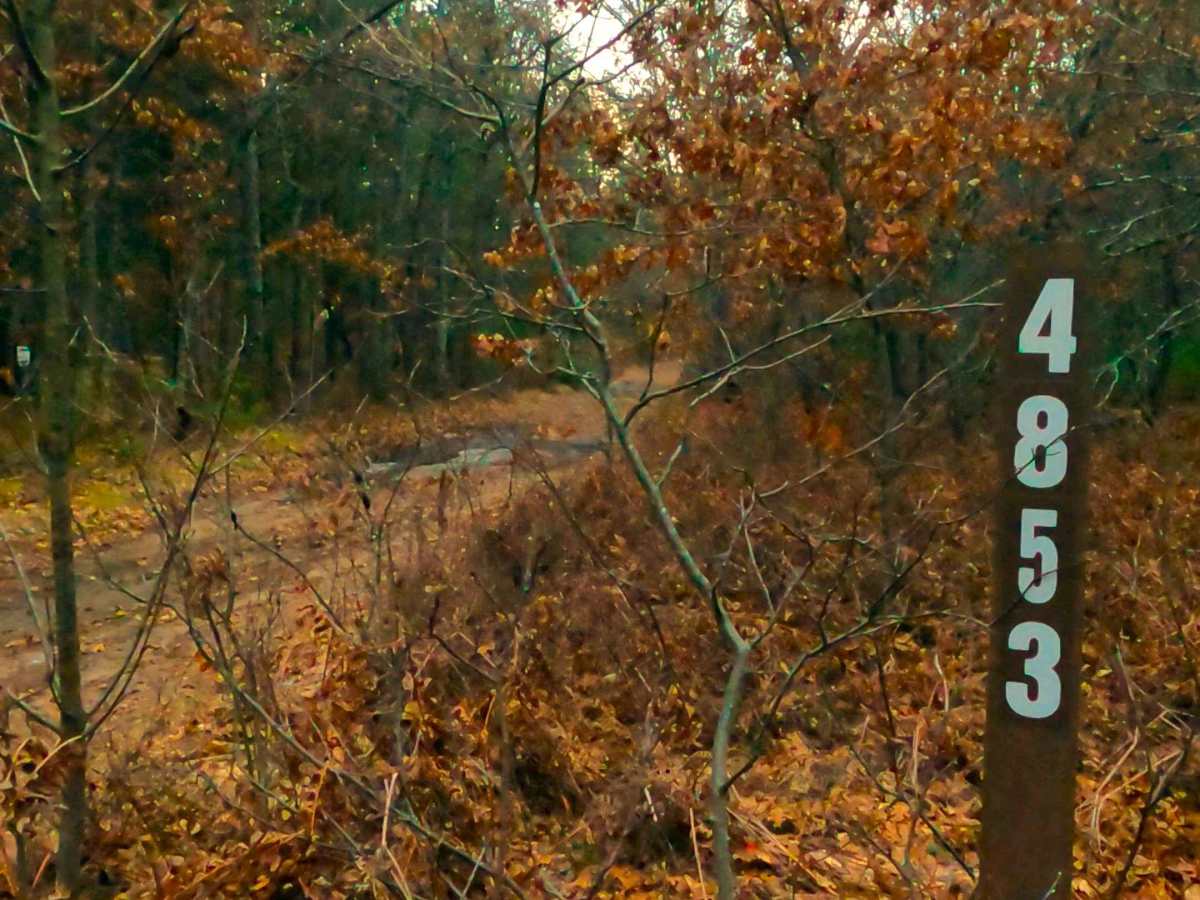 Big Block - FS 4013 trail photo