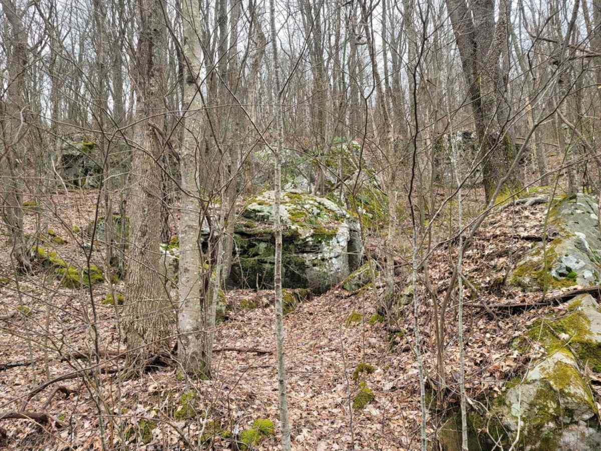 59 - Grassy Gap photo 4