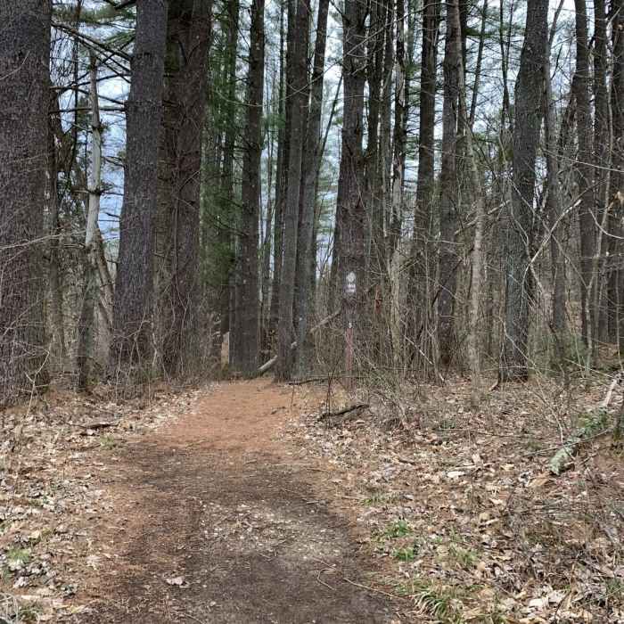 Early springtime on Jackson Creek Trail in Yellowwood State Forest Near Jackson Creek Trail