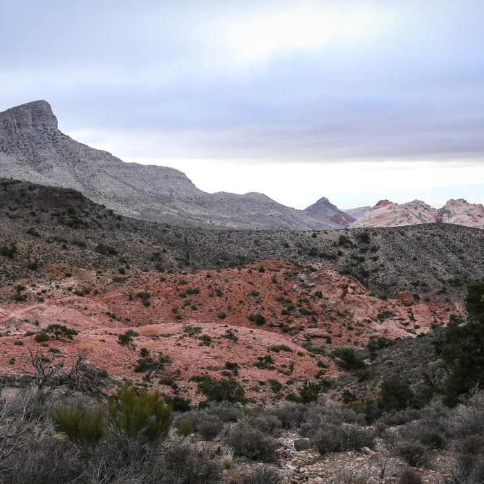 Near Keystone Thrust