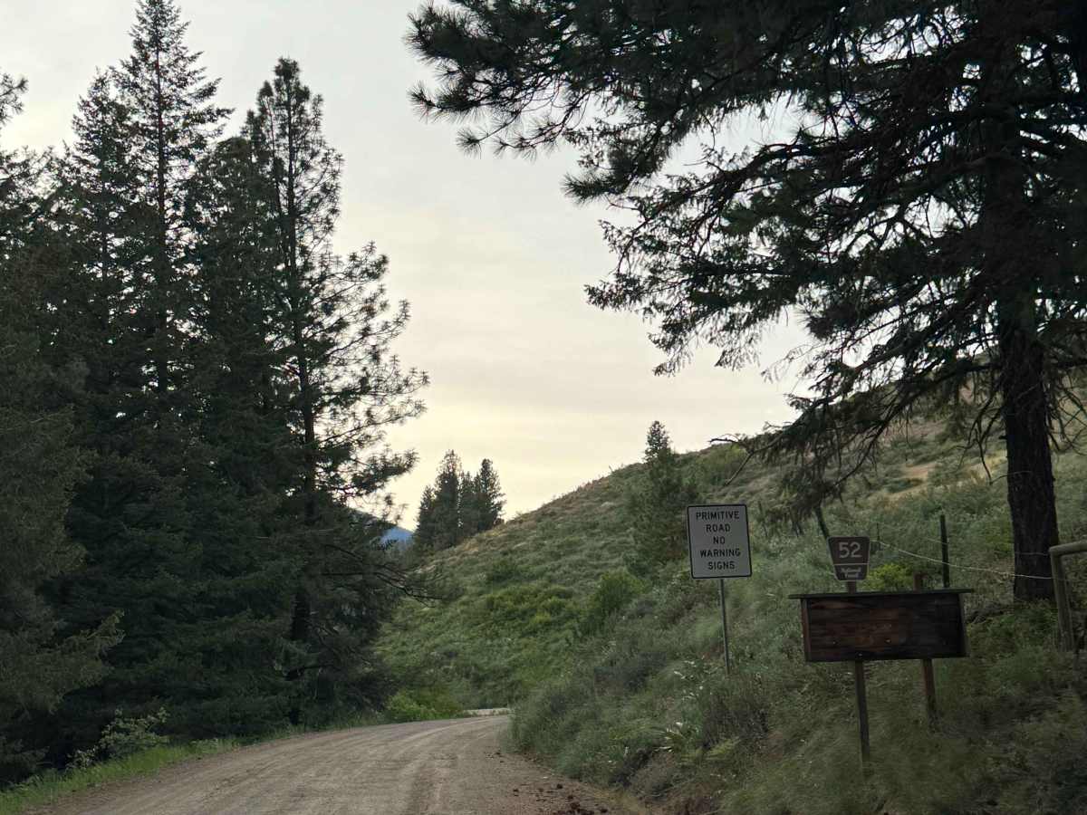 Cub Creek Road trail photo