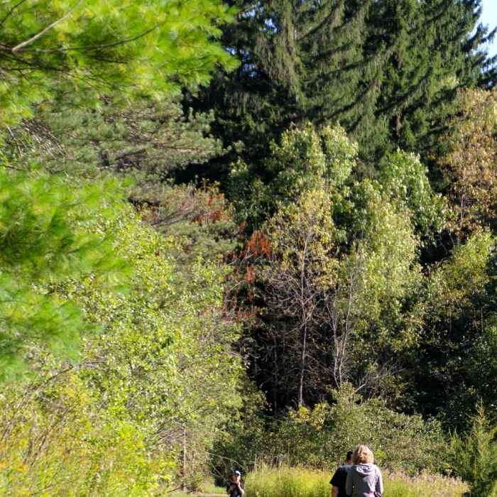 Near Ice Age Trail: Kettle Moraine Northern Unit/Cty Rd H to Mauthe Lake