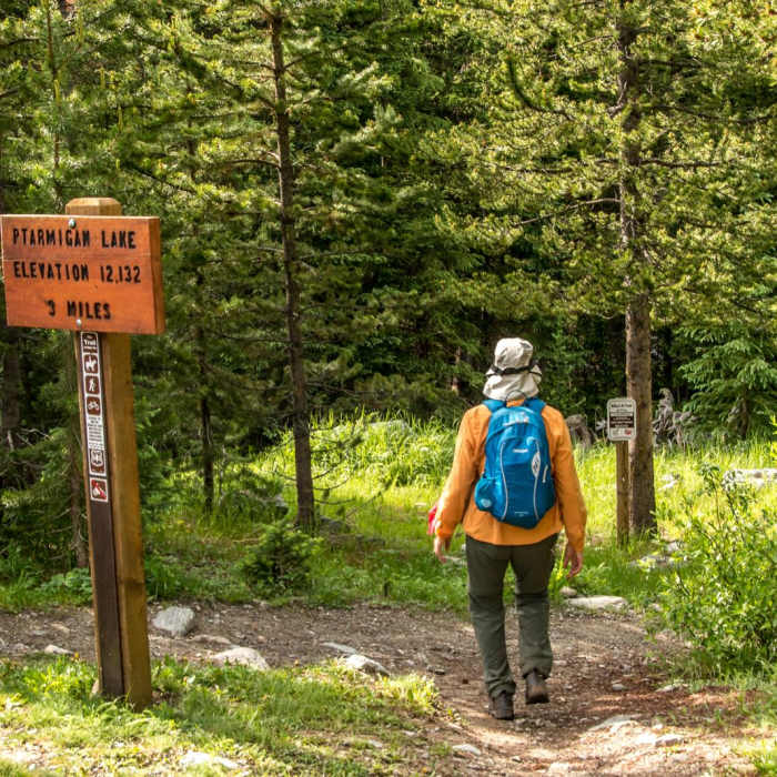 Near Ptarmigan Lake Trail