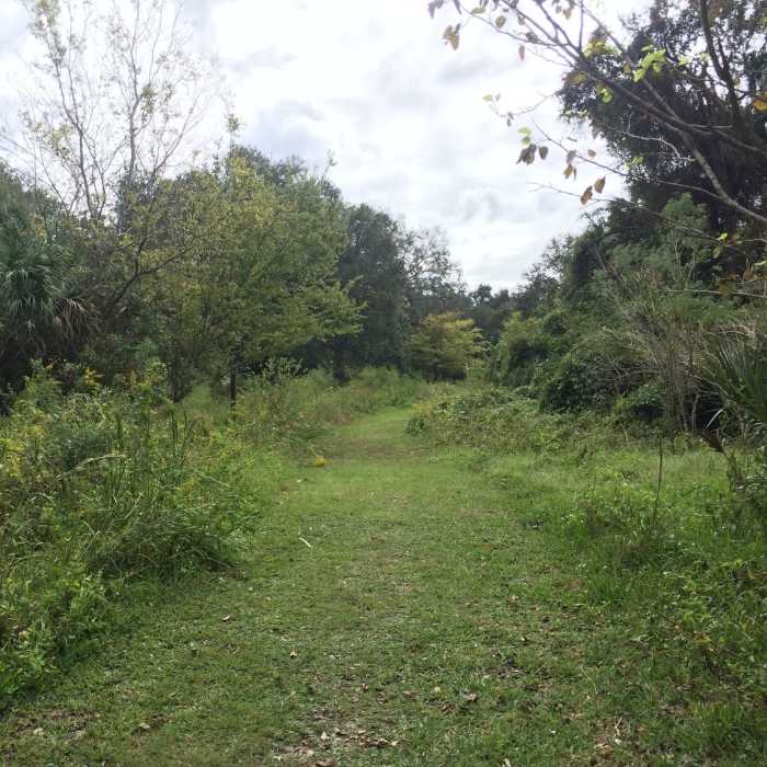 Beginning of the trail. Near Reddie Point Preserve Route