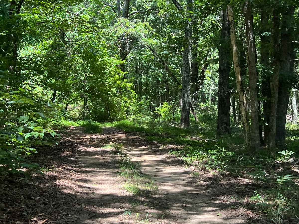 Duncan trail photo