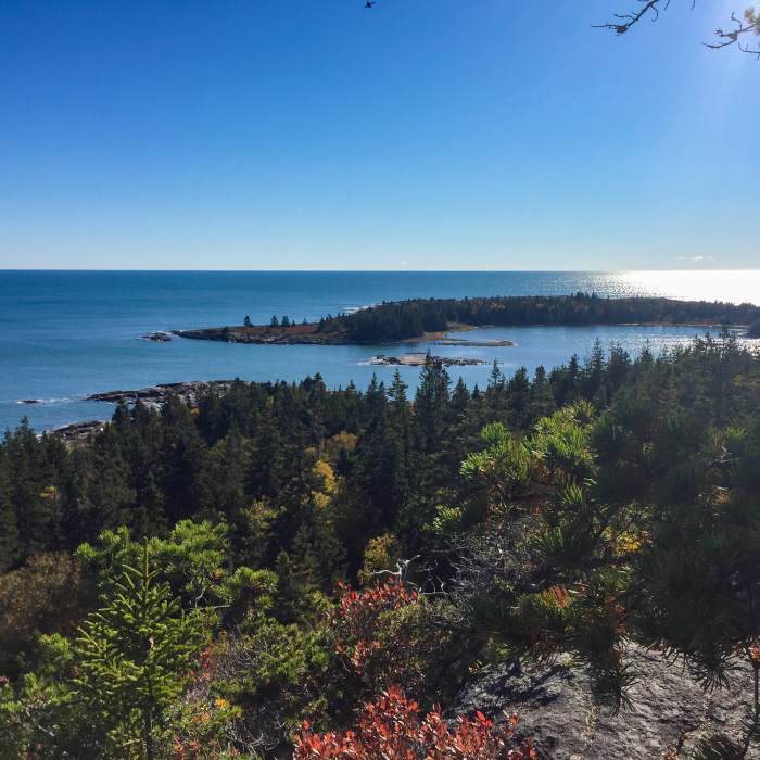 Near Schoodic Head Loop