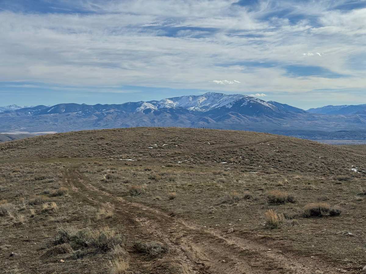 BLM Trail 136 photo 5