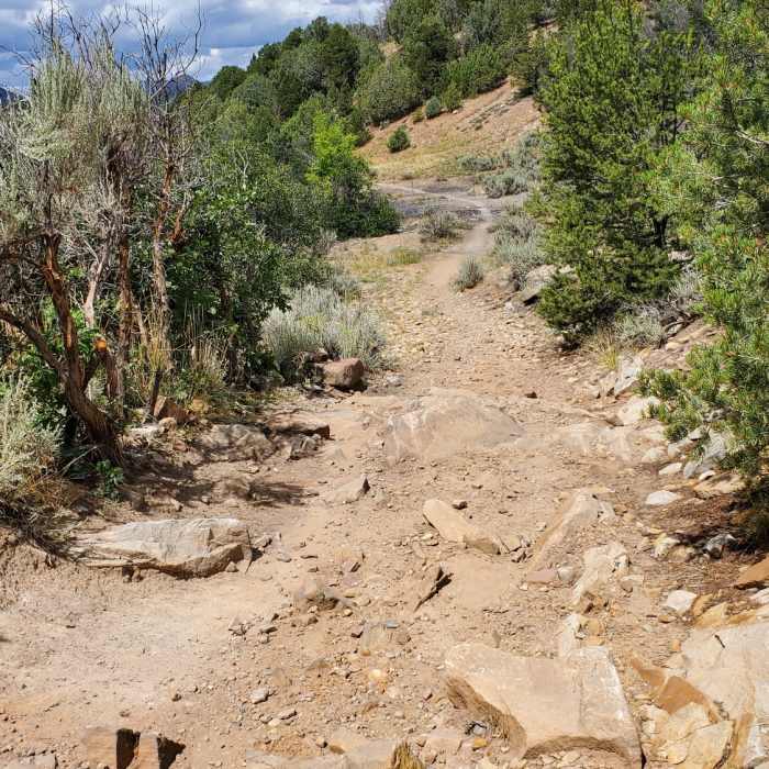Lower Half Ridge | Hiking Trail Maps, Difficulty, Trail Status | onX