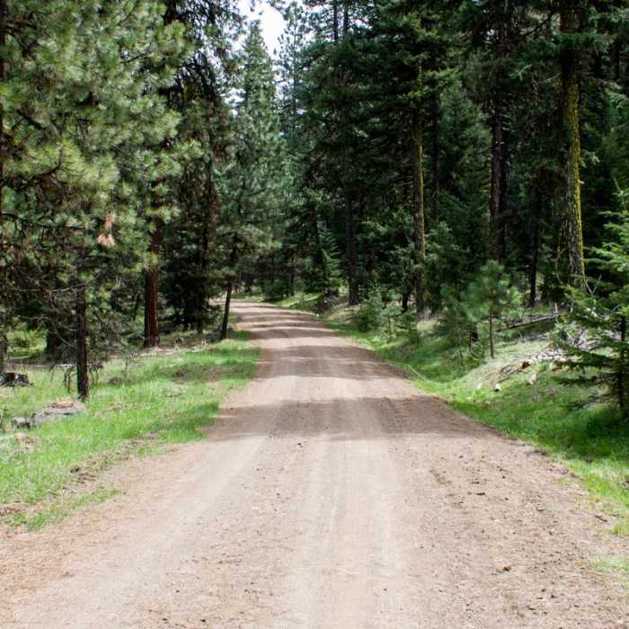 Near Green Springs Loop