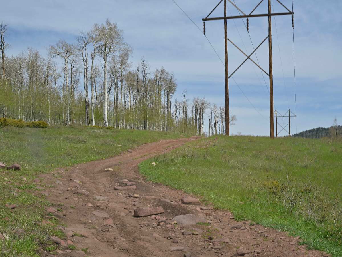 Power Line - FS 10574 photo 5