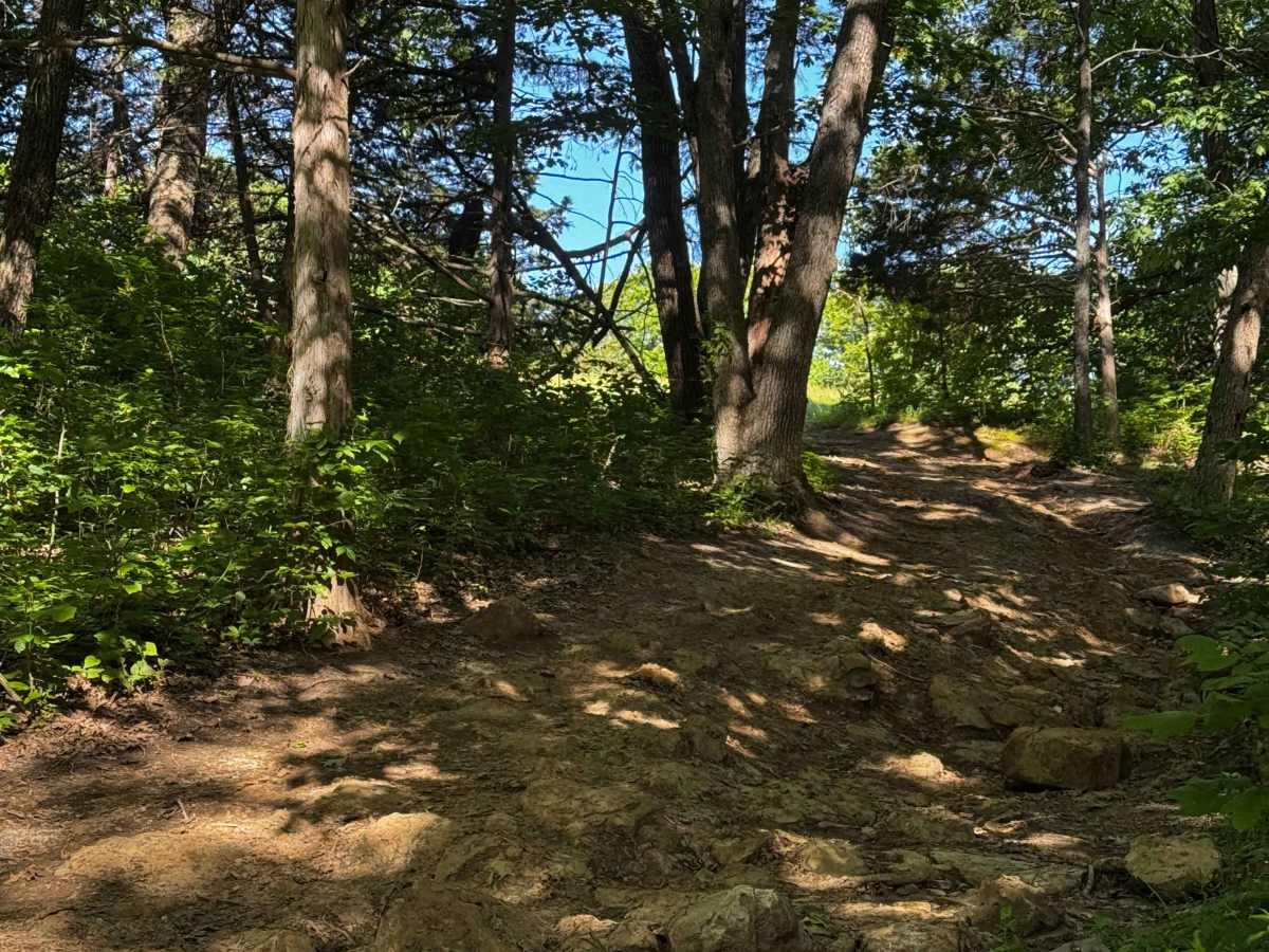 Inner Trail 13 photo 4