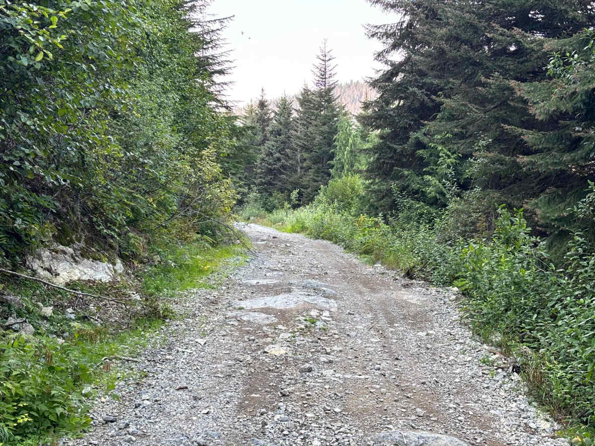 Thurston Loop photo 6