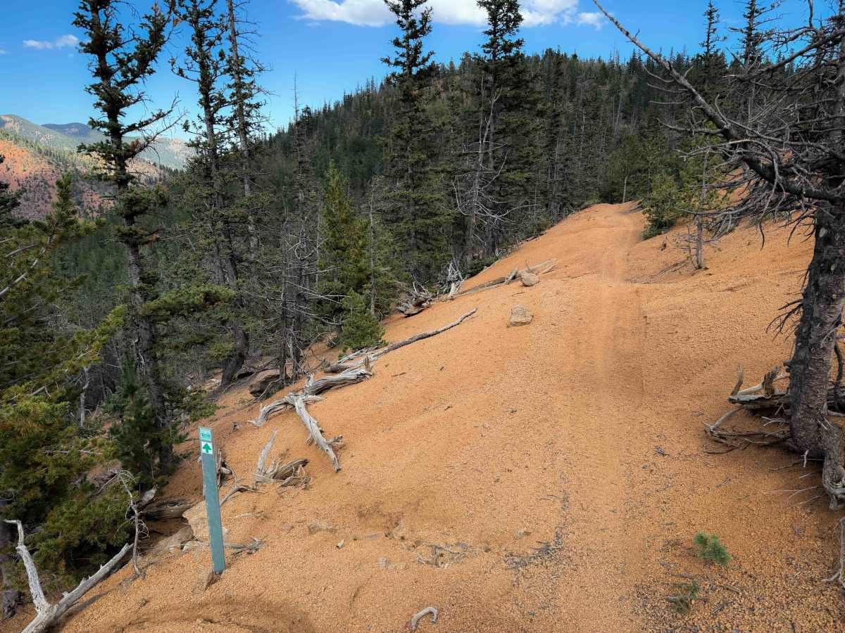 Pipeline Trail - FS 668  photo 5