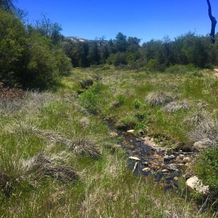 Near Lower Descanso Creek Trail