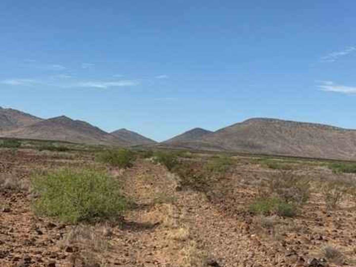 BLM SS1039 photo 3