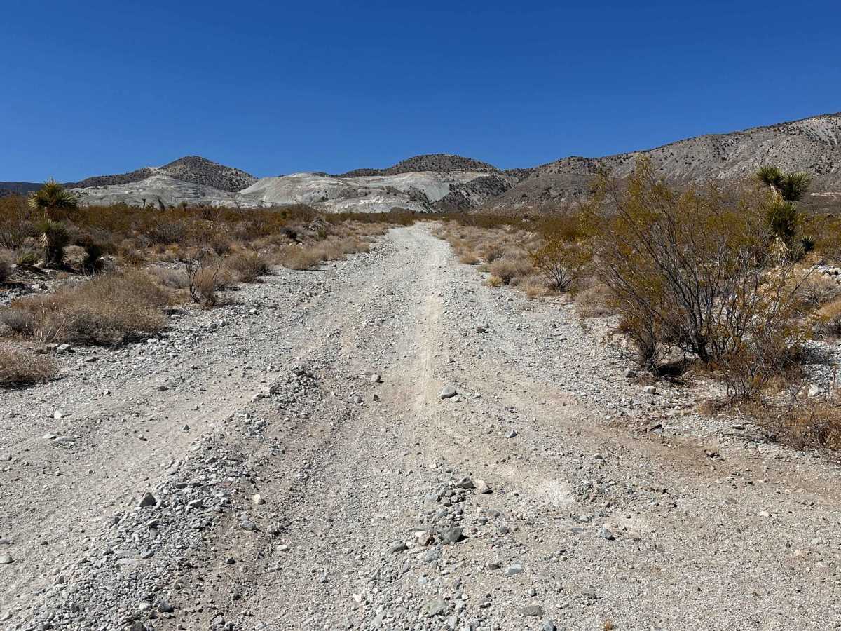 Coyote Gap photo 4