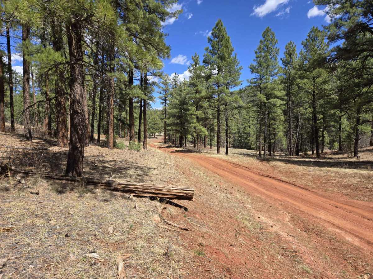 Hogback Trail trail photo