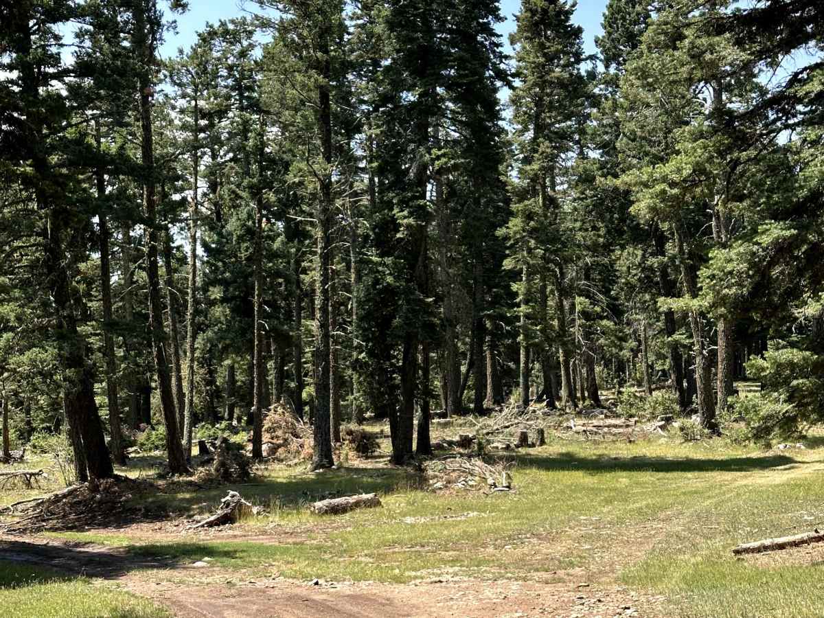 Alamo Canyon photo 4