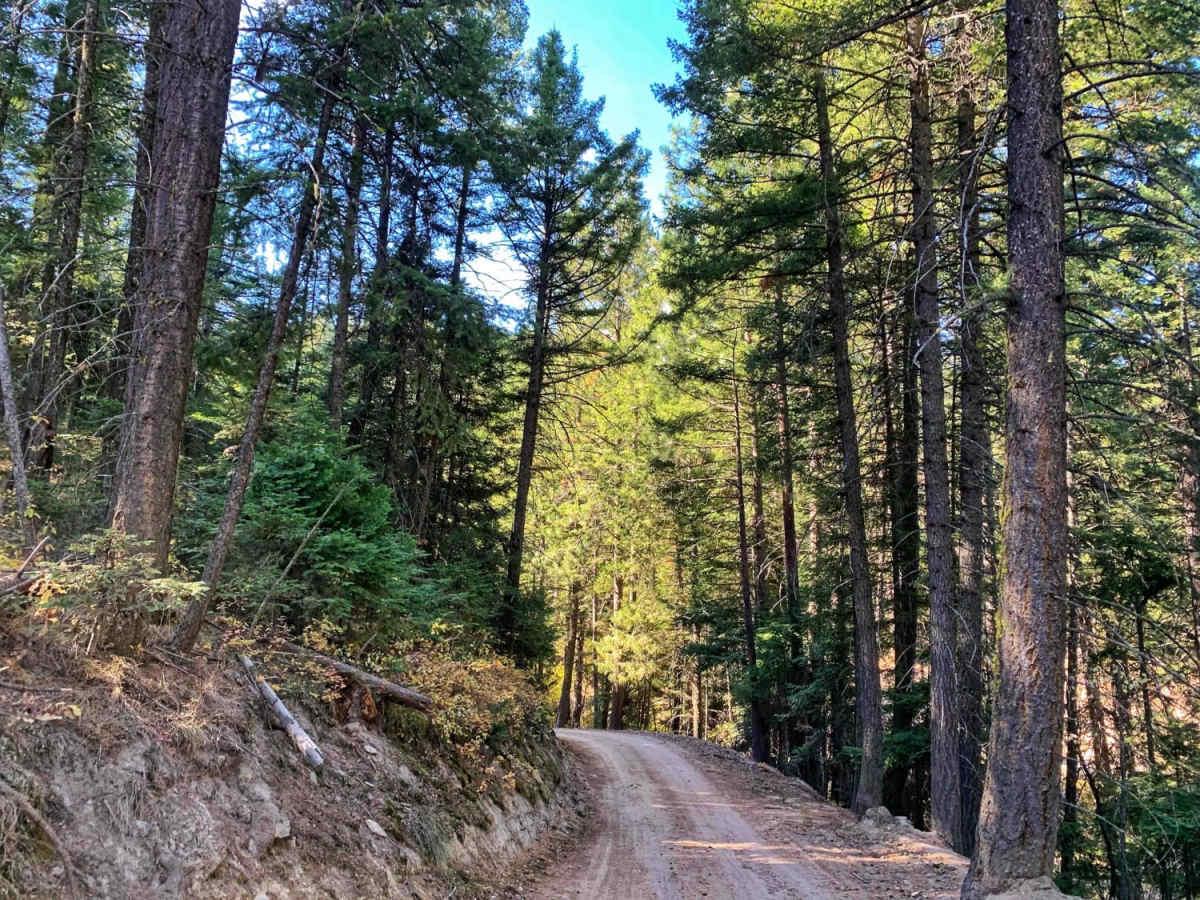 Moose Creek/Old Mine photo 6