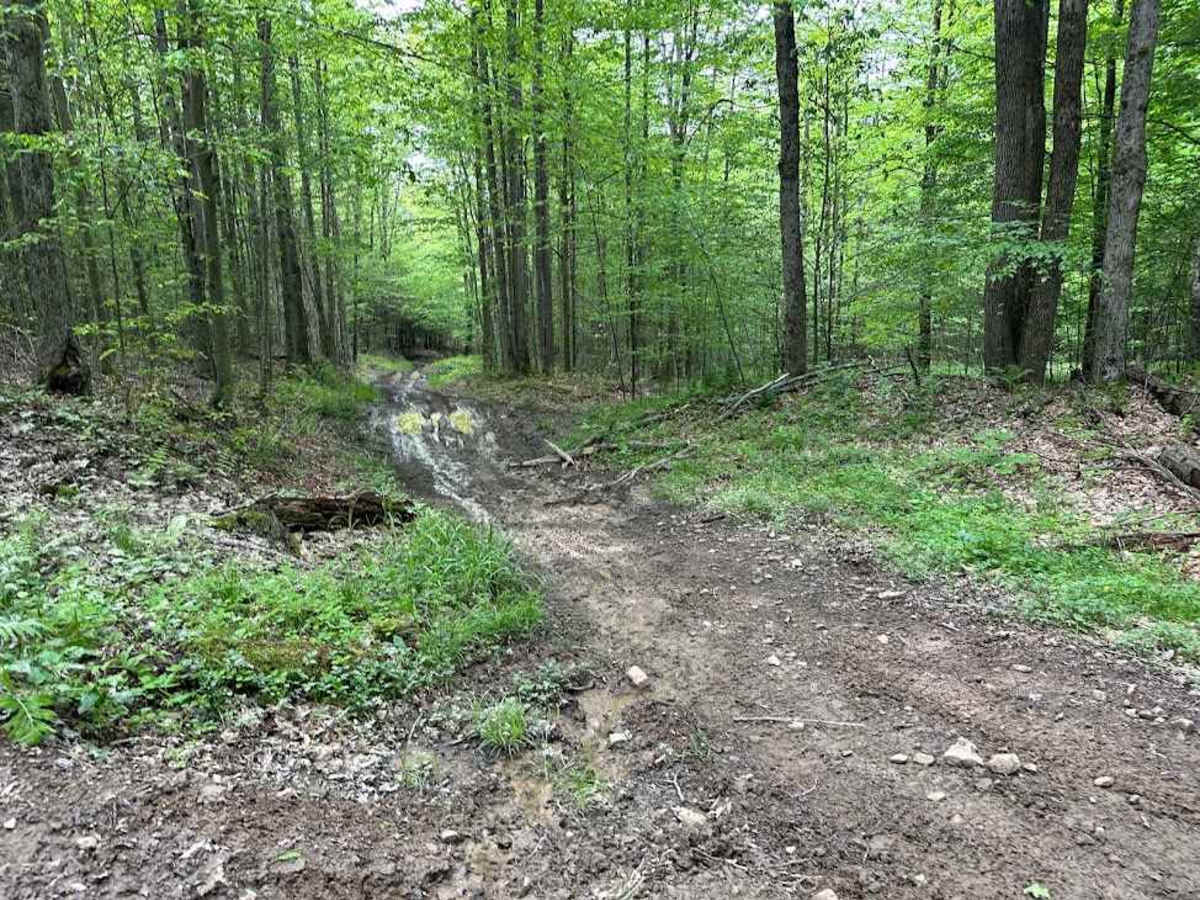 Orange Single Track G9 - A photo 4