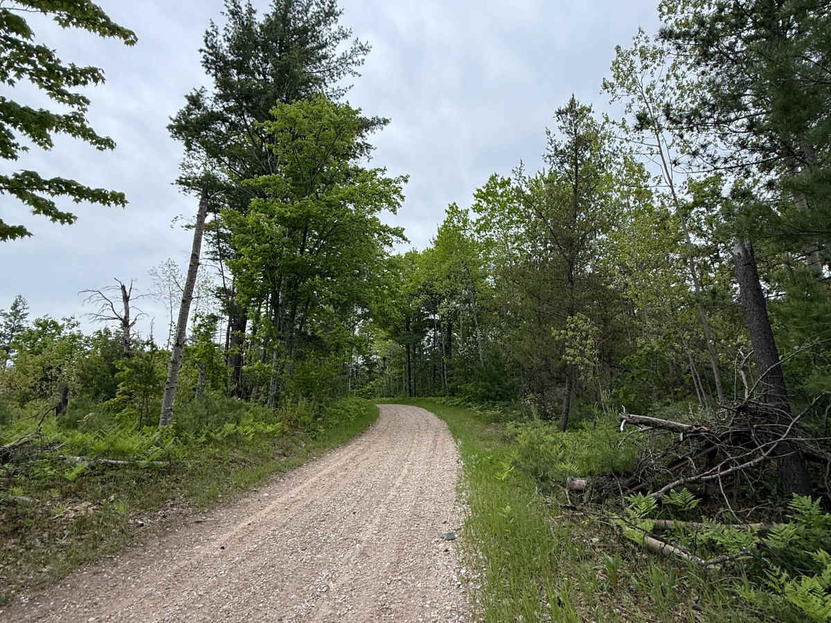 LP 55 Trail trail photo