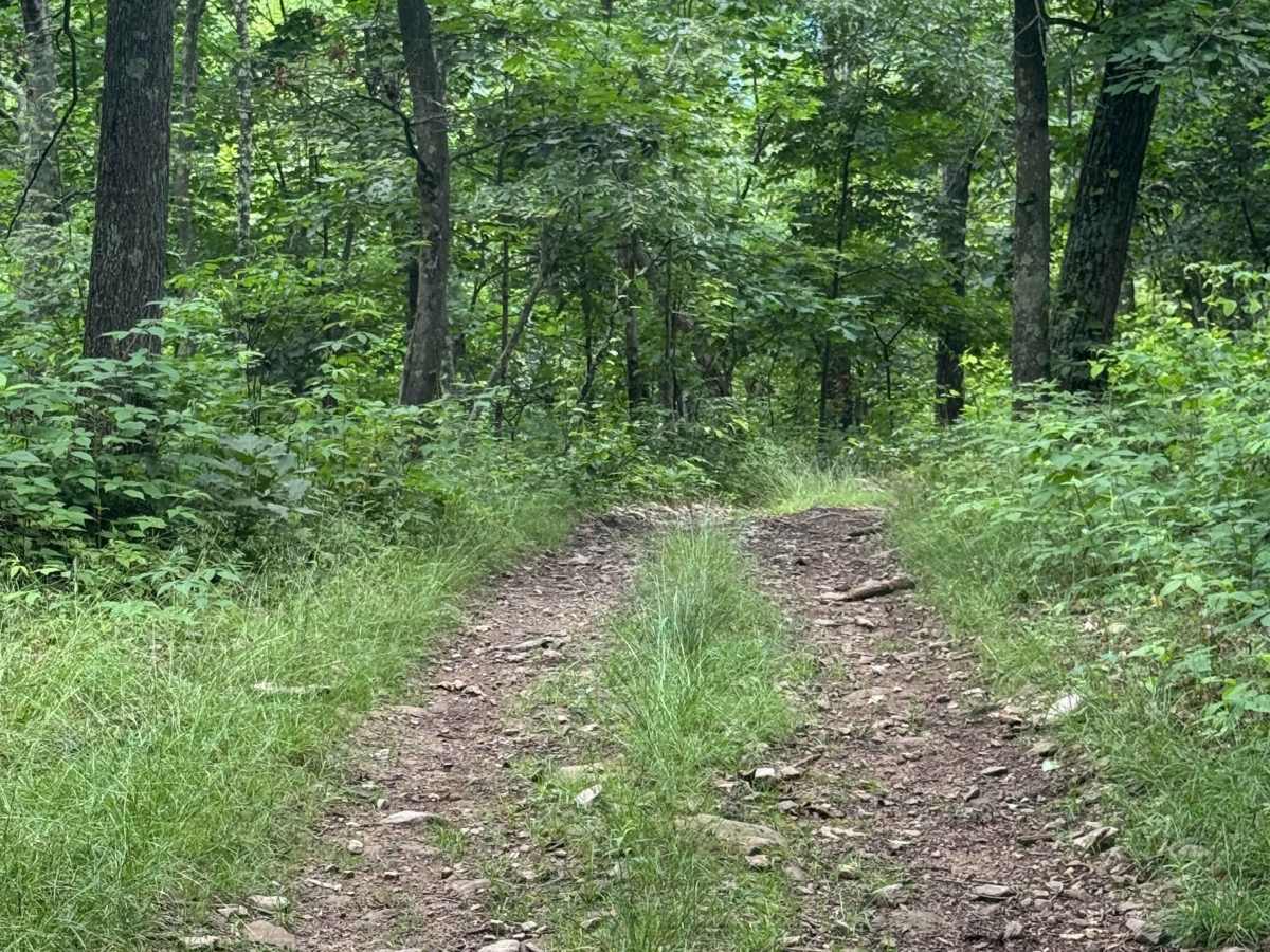 Trail 76 photo 3