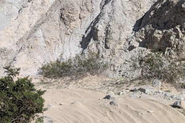Sand Dam Canyon - BLM 336