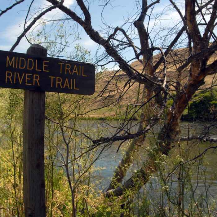 Near Deschutes River, Ferry Springs Hike