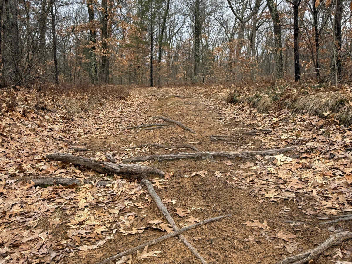 FS 8368 trail photo