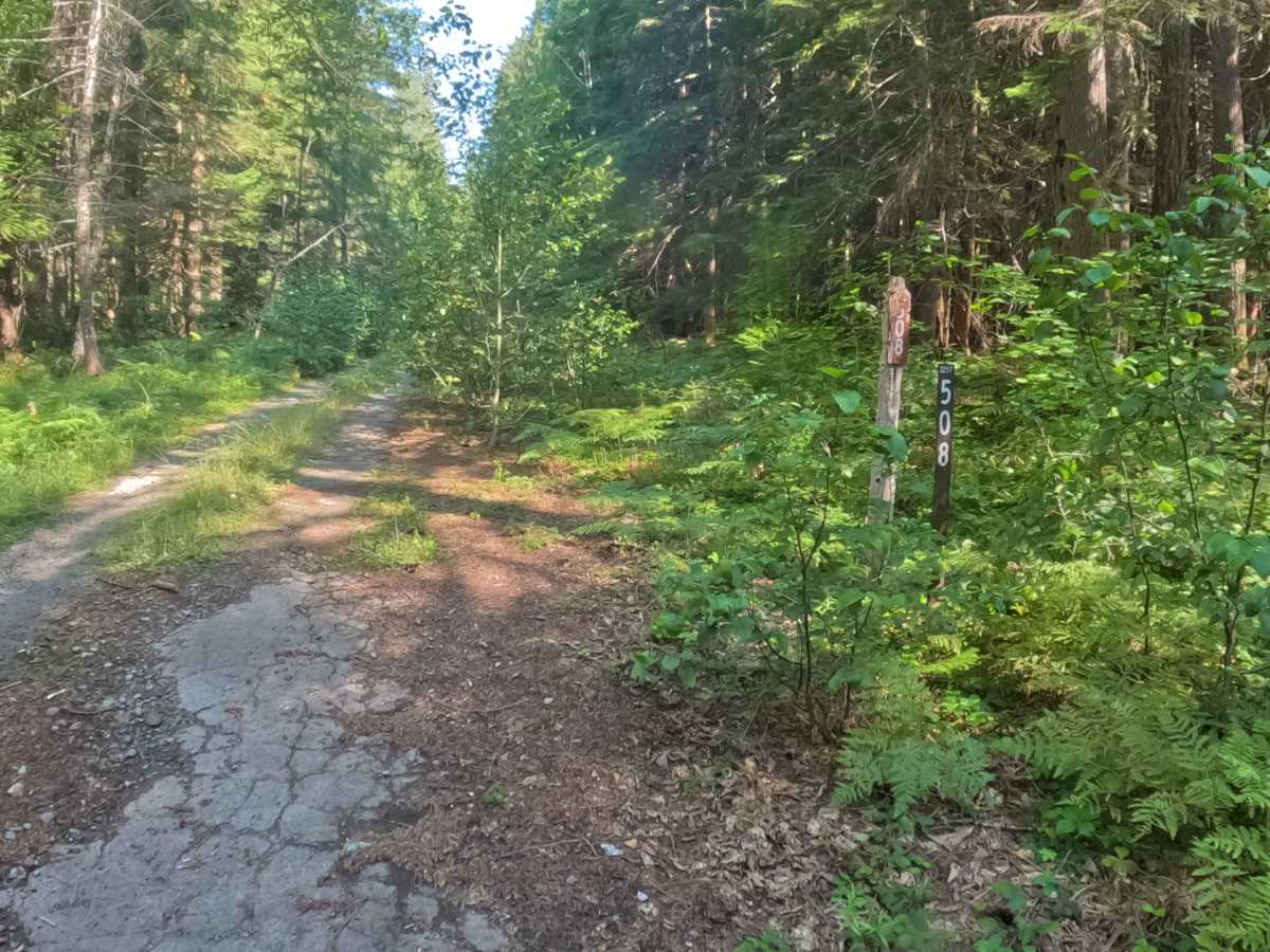 Upper Horn Creek - FS 2257-508 photo 2