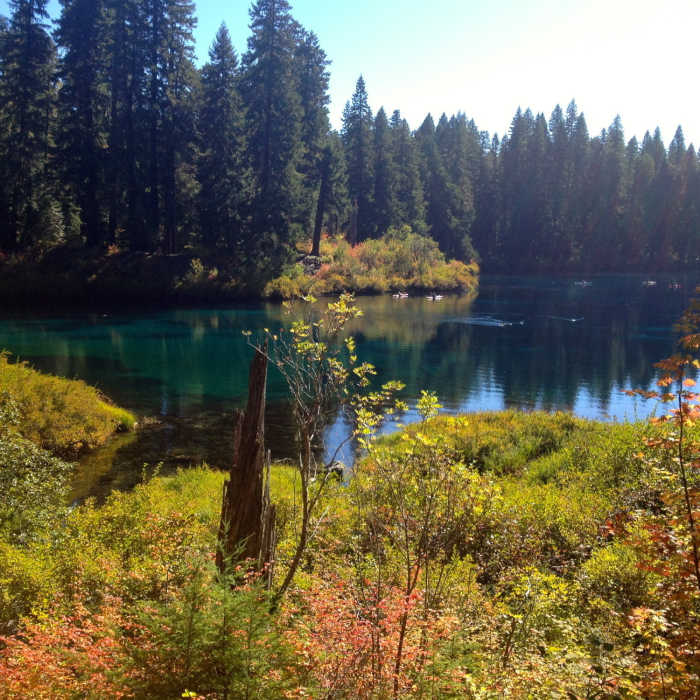 Near Clear Lake Loop