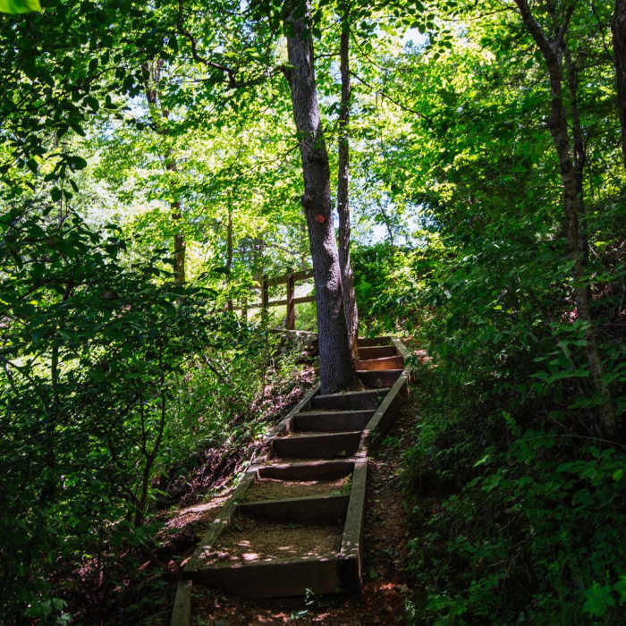 Near Grand Gulf State Park Near Grand Gulf State Park