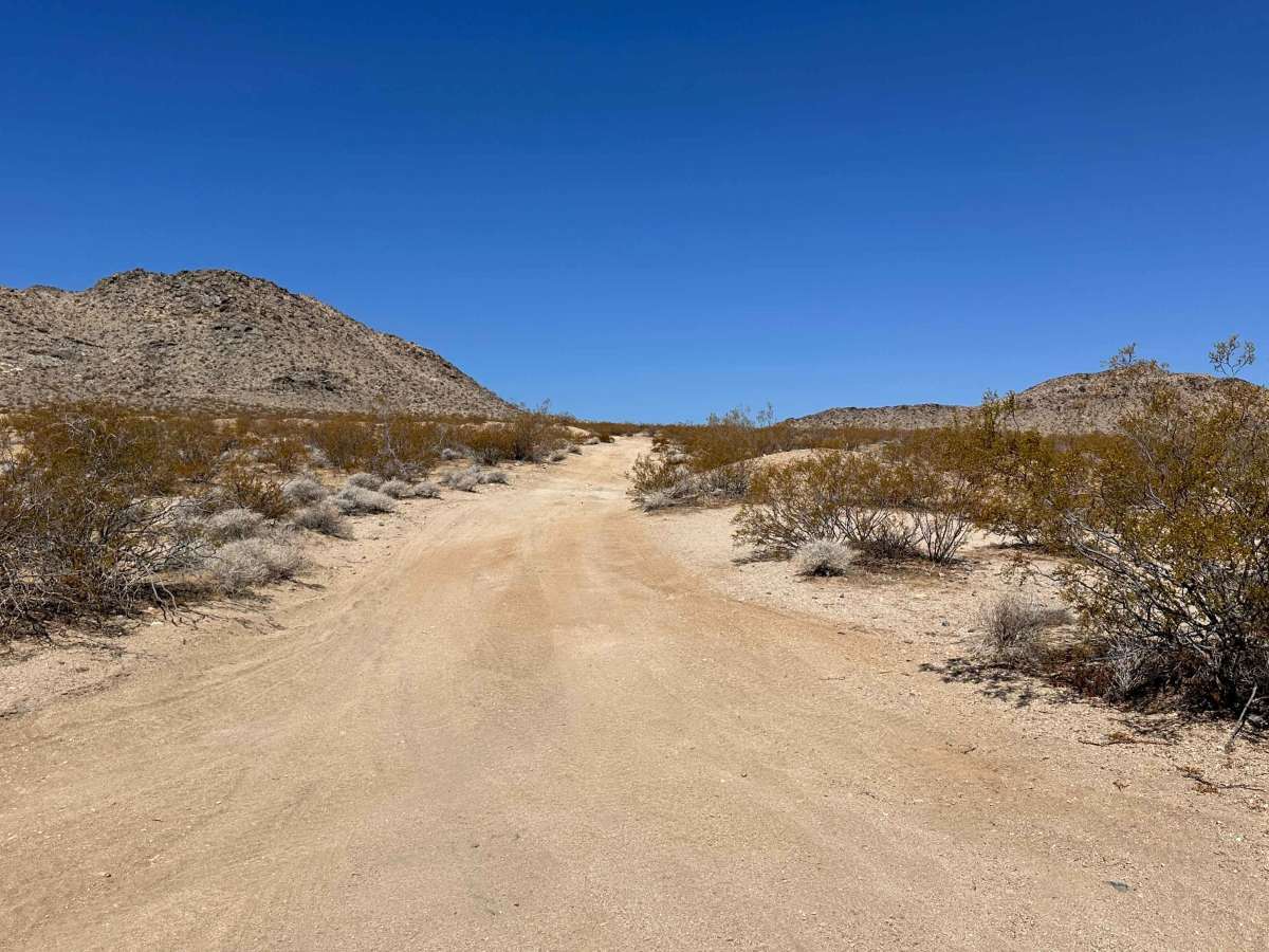 Blackbrush Trail photo 3