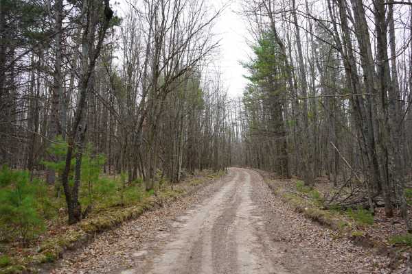 McComber Trail - FS 4482