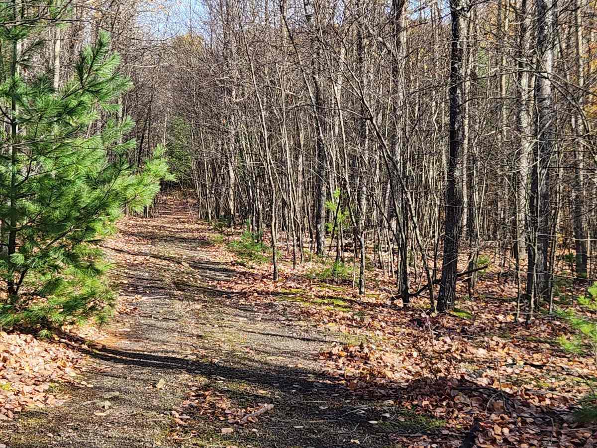 OHV 3 - Rock Run Recreation Area photo 5