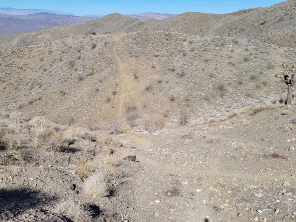 Trail 71 photo 5